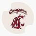 Washington State University Carsters - Coasters for Your Car