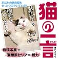 猫の一言<br>猫パンチＴＶ著 <br>幻冬舎コミックス<br>1260円<br>ISBN:9784344820678