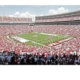 NCAA Alabama Crimson Tide 17'' x 23'' Nosebleed Stadium Vinyl Wall Mural