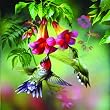 Summer Hummer 1000pc Jigsaw Puzzle by Spencer Williams