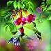 Summer Hummer 1000pc Jigsaw Puzzle by Spencer Williams