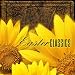 Amazon MP3: Church Sonata No. 14 for orchestra in C Major, K. 278: bei MP3-Downloads zum Namen: 61-HnostuJL._SL75_