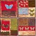 Kitchen & Housewares : CoasterStone Butterfly Collage Coasters