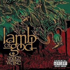 Ashes Of The Wake