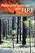 Painting the Landscape With Fire: Longleaf Pines and Fire Ecology