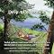 List Of Books Relating To Relaxation Products