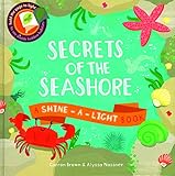 Secrets of the seashore