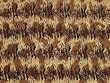 Sarong - Brown & Beige Tiger Print