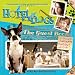 Hotel For Dogs: The Guest Book