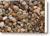 306 Stones Canvas Print / Canvas Art - Artist Jeffrey Campbell