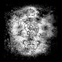 Rodentia : The Best of Dark Roots Music
