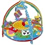 Galt Playnest and Gym - Farm