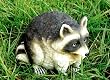 Racoon Portly - Medium [Kitchen]