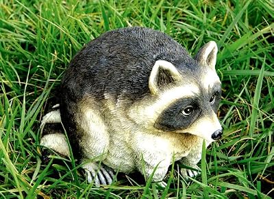 Racoon Portly - Medium [Kitchen]