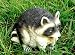 Racoon Portly - Medium [Kitchen]