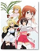 �Z�L���C �l �y���S���Y����Łz [DVD]�̃C���[�W���g�傷��