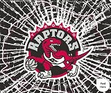 Toronto Raptors Shattered Auto Decal (12 x 10 -inch)