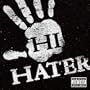 Hi Hater [Vinyl]
