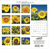 Sunflowers 2008 Calendar-