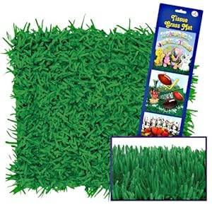 Beistle 57161 2-Pack Packaged Tissue Grass Mats Party Decoration, 15 by 30-Inch