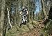 61 PDMpA4dL. SL75  Downhill Freeride