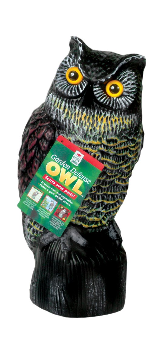 Amazon.com : Easy Gardener 8001 Garden Defense Owl : Home Pest ... Amazon.com : Easy Gardener 8001 Garden Defense Owl : Home Pest ...