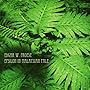 Epsilon In Malaysian Pale ~ Edgar Froese