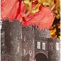 Microcastle