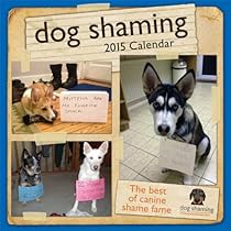 Dog Shaming 2015 Wall Calendar
