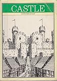 Castle