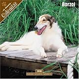 Borzoi 2008 Wall Calendar