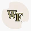 Wake Forest University Carsters - Coasters for Your Car