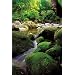 National Park System Map and Guide