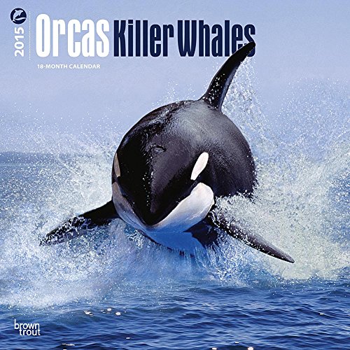 Orcas, Killer Whales 2015 Wall Calendar