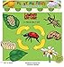 Ladybug Life Cycle Felt Board Figures - Uncut