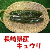 九州　長崎県産　農産物直売所　販売用　キュウリ　2本入り