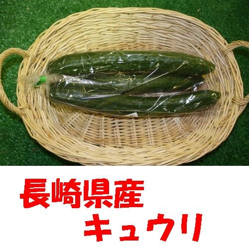 九州　長崎県産　農産物直売所　販売用　キュウリ　2本入り