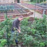 Two Wests Deluxe 6' High Fruit Cage 12' x 18'