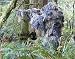 Paintball Sniper 4-Piece Woodland Ghillie Suit - ML