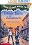 Ghost Town at Sundown (Magic Tree House, No. 10)