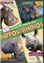 Hippos & Rhinos