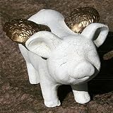 GLÜCKSSCHWEIN SCHWEIN FLÜGEL WEIß GOLD TERRACOTTA