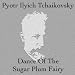 Tchaikovsky - Dance of the Sugar Plum Fairy (Hip Hop Remix)