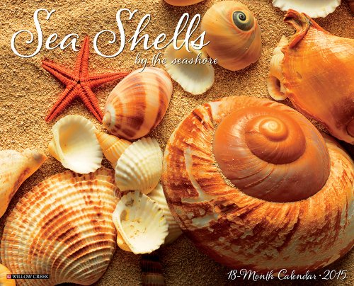 sea shells 2015 wall calendar