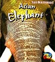 Asian Elephant (Save Our Animals!)