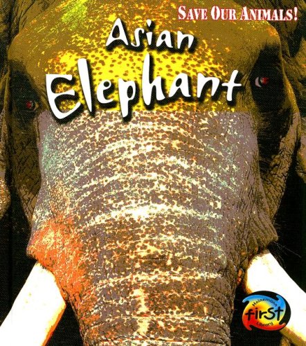 Elephants