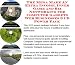 The Mega Make An Extra Income, Inner Game and Biz Networking for Computer Gadgets Web Businesses 3 CD Power Pack