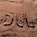 DLL List Landscape: The Art from Computer Memory Space