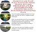 Massive Cash Flow Pack with Earn More Money, Success Principles and Biz Networking for Firestop On-line Businesses 3 CD Power Pack