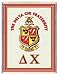 Delta Chi Throw